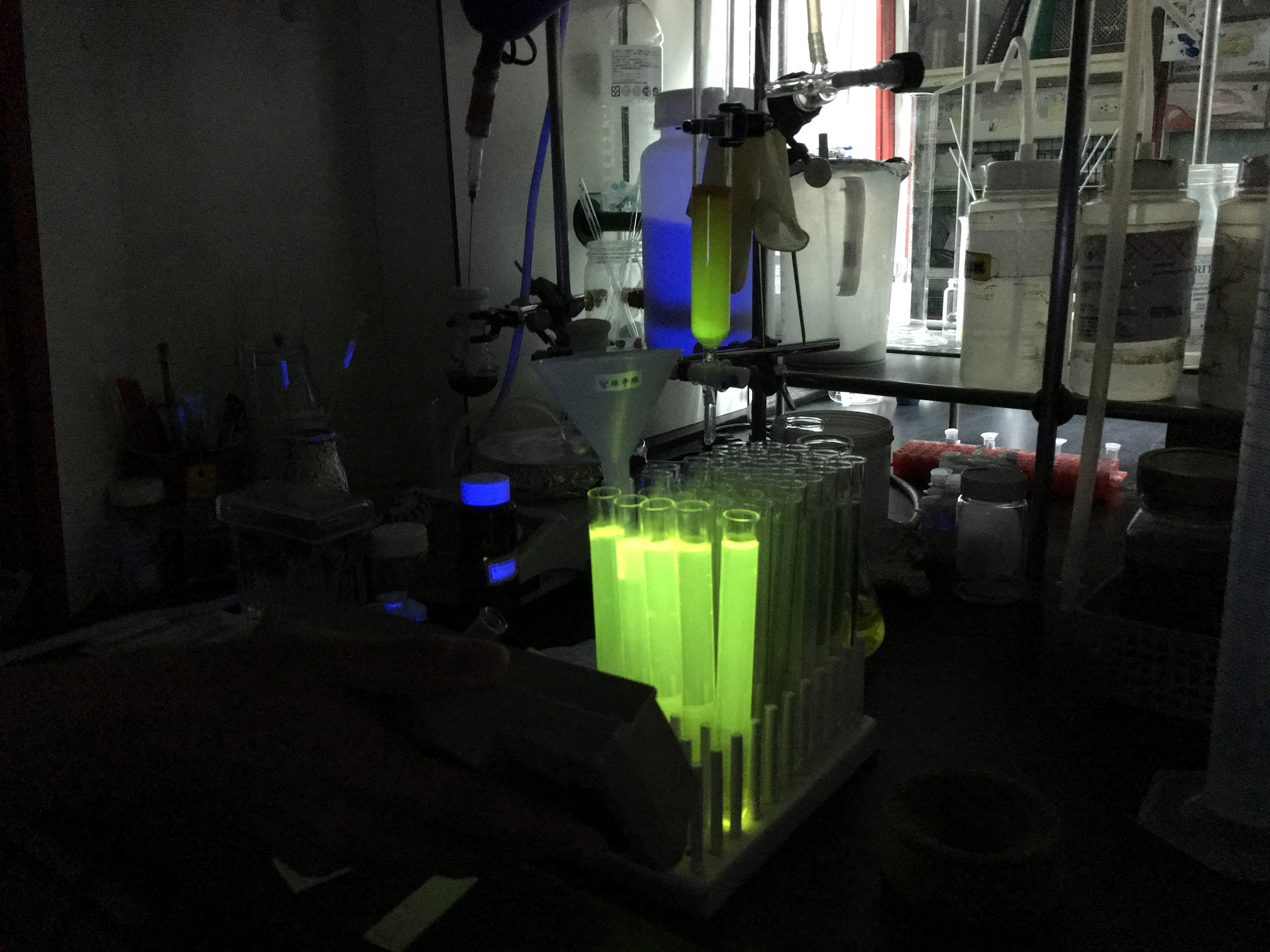 fluorescent probe